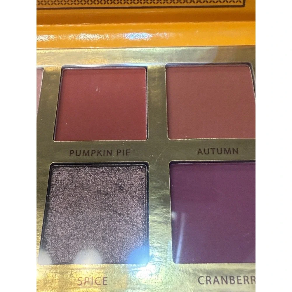 Ace Beaute' Falling for You Eyeshadow Palette Vibrant Colors 12 well